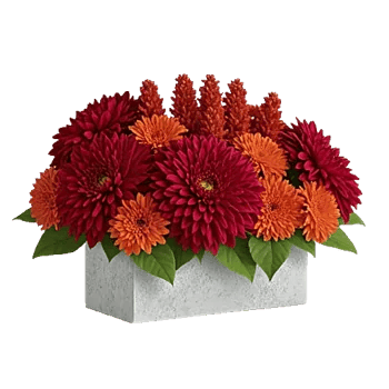 Crimson Blossom Harmony