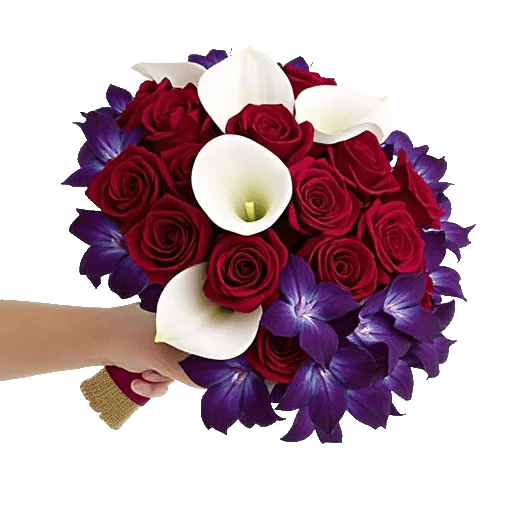 Blushing Rose Symphony