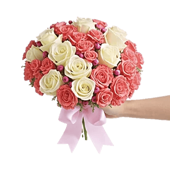 Pastel Pink Roses