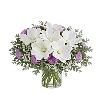 Minimalist White Orchids