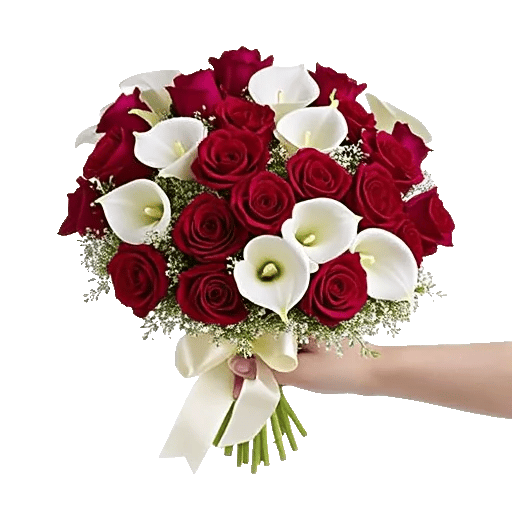 Crimson Rose Elegance