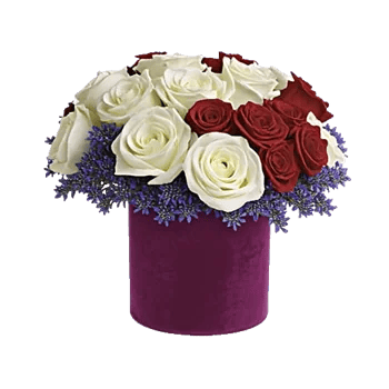 Velvet Tulip Display