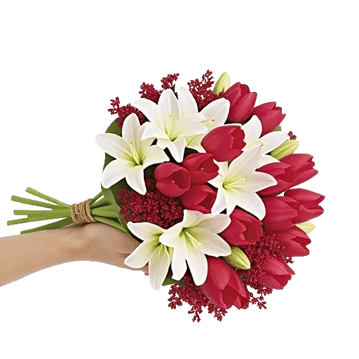 Scarlet Tulip Splendor
