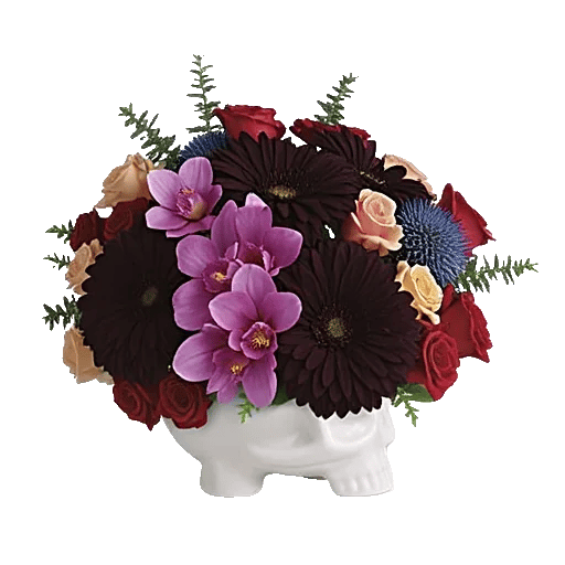 Modern White Orchids