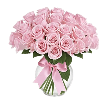 Pastel Pink Roses