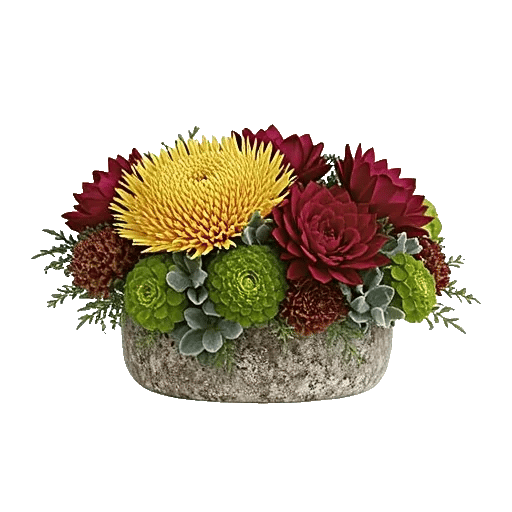 Golden Rose Radiance