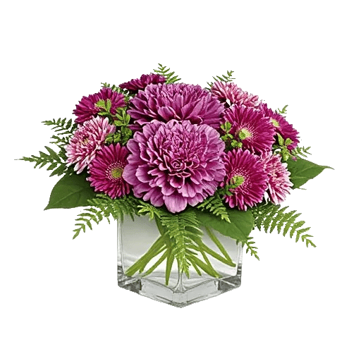 Petal Radiance Bliss