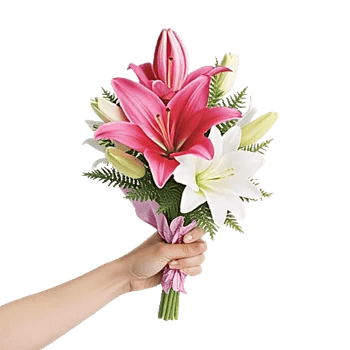 Graceful Lily Display