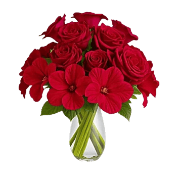 Crimson Blossom Harmony