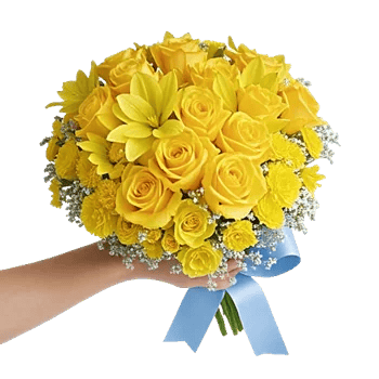 Blossom Harmony Display