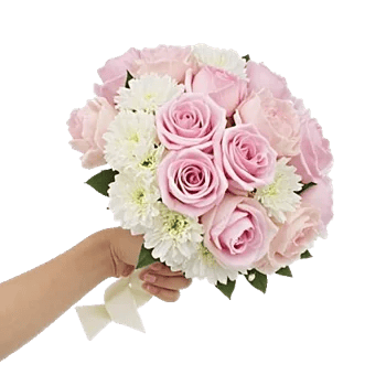 Pastel Pink Roses