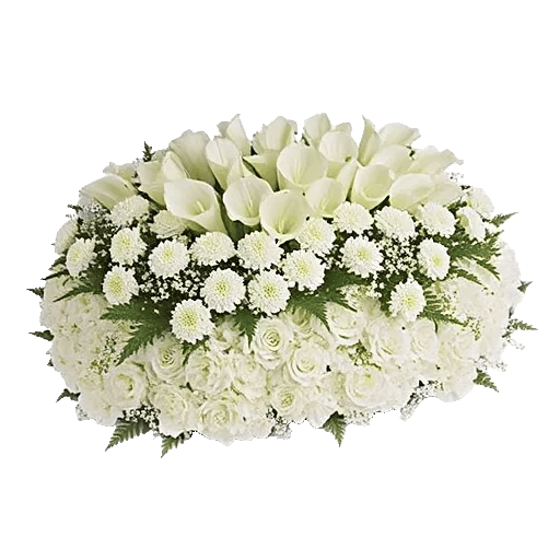 Elegant Calla Lilies