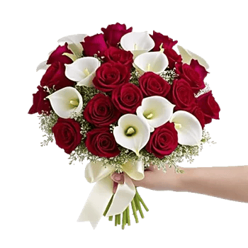 Crimson Rose Elegance