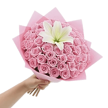 Blushing Rose Symphony