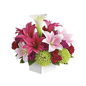 Elegant Calla Lilies