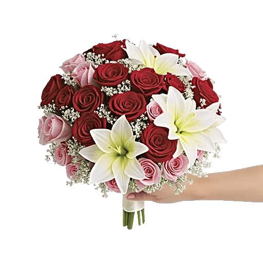 Blushing Rose Symphony