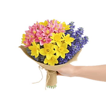 Blossom Harmony Display