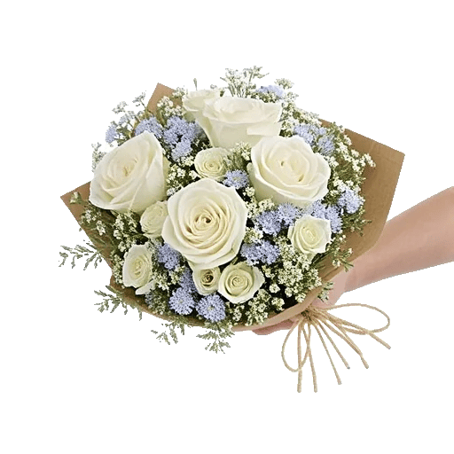 Serene Petal Harmony