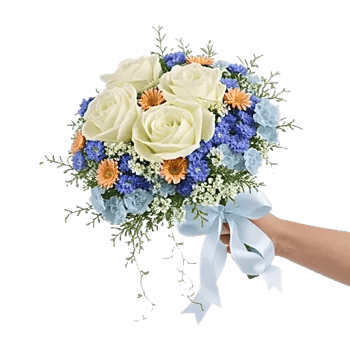 Serene Petal Harmony