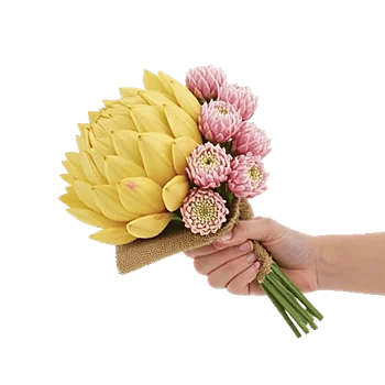 Blossom Harmony Display