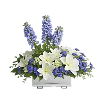 Blossom Petal Serenity