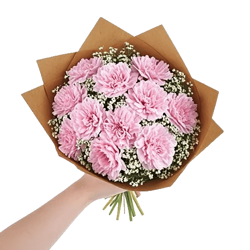 Pastel Pink Roses