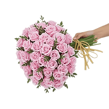 Pastel Pink Roses