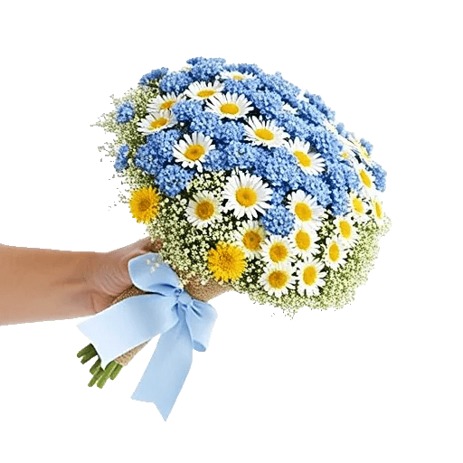 Blossom Petal Serenity