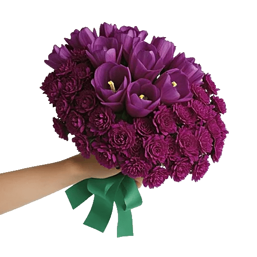 Silken Petal Array