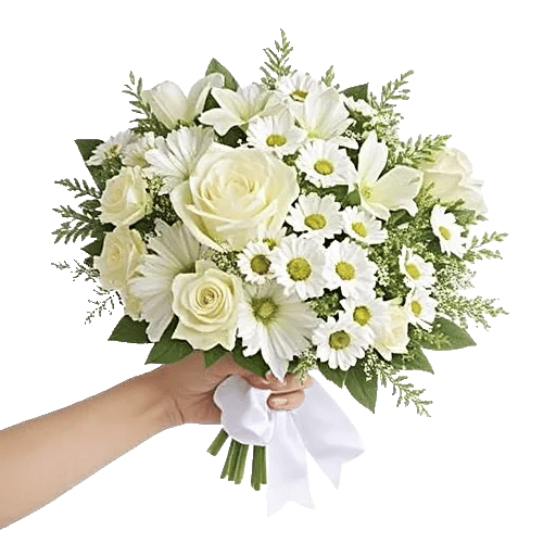 Ivory Garden Grace