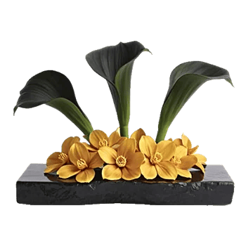 Elegant Calla Lilies