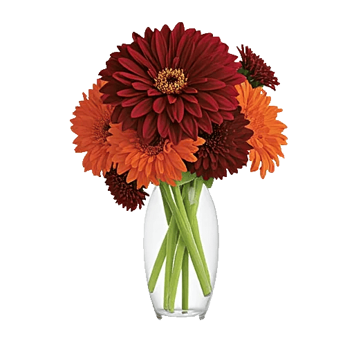 Crimson Blossom Harmony