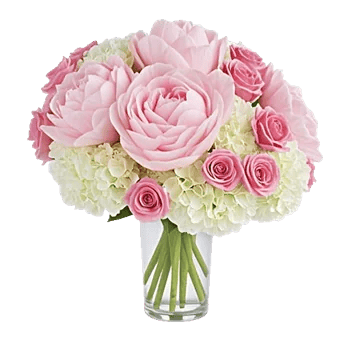 Petal Radiance Bliss