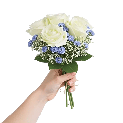 Serene Petal Harmony