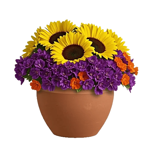 Amber Sunflower Glow