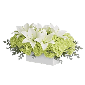 Graceful Lily Display