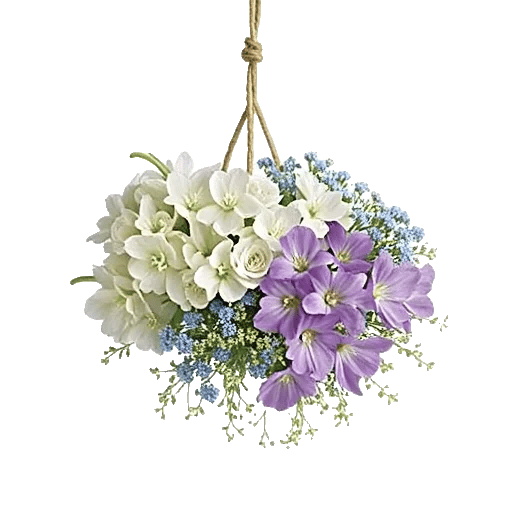 Ivory Blossom Radiance