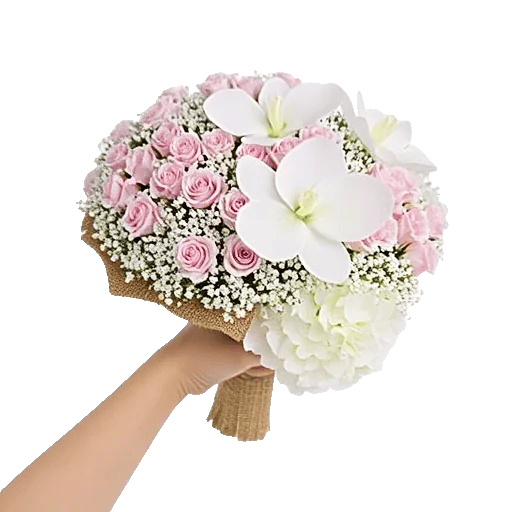 Blossom Radiant Whisper