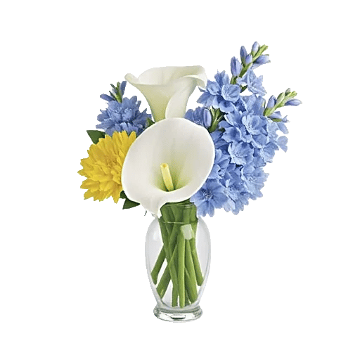 Elegant Calla Lilies
