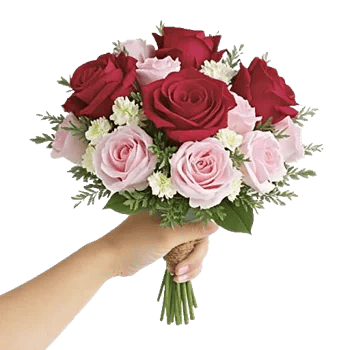 Crimson Rose Elegance