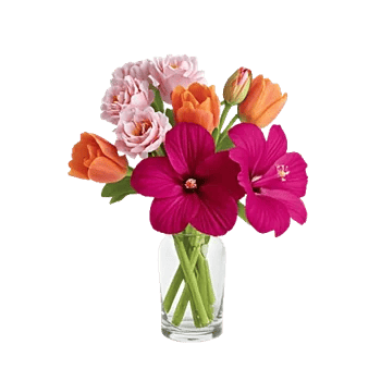 Petal Radiance Bliss
