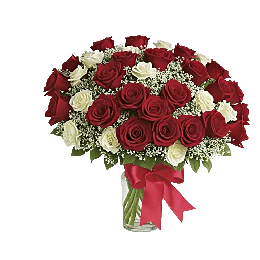 Crimson Rose Elegance