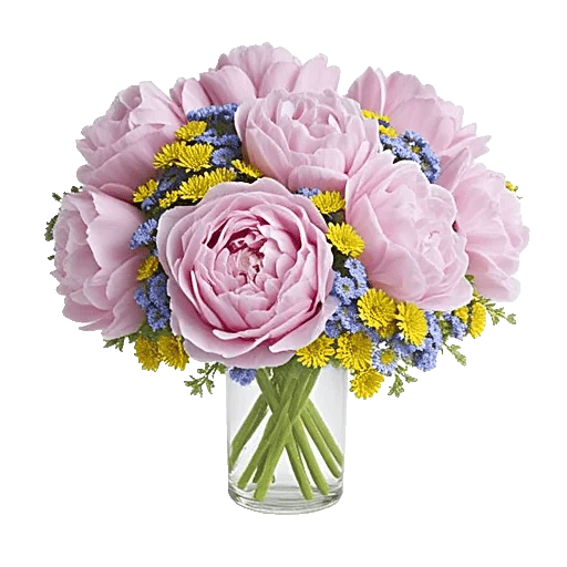 Petal Radiance Bliss