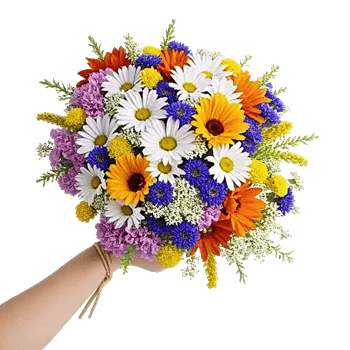 Petal Harmony Bliss