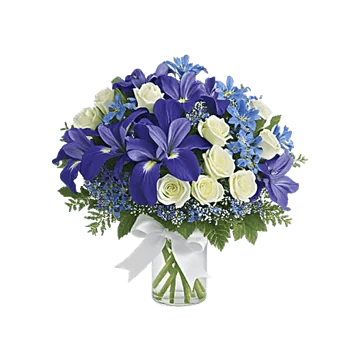 Ivory Blossom Radiance