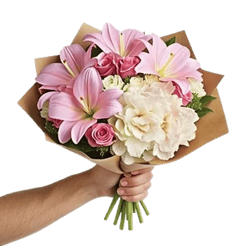 Blushing Rose Symphony