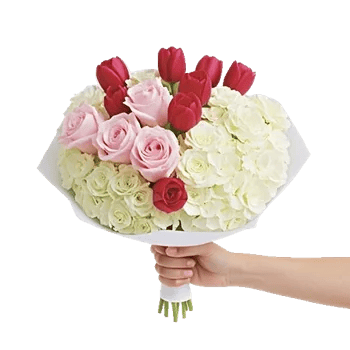 Pastel Pink Roses