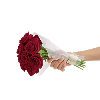 Crimson Rose Elegance