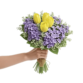 Blossom Harmony Display