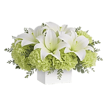 Graceful Lily Display